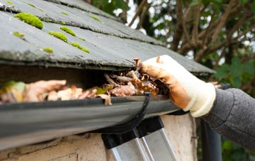 gutter cleaning Elwick