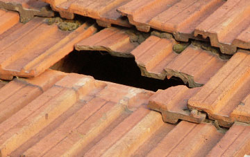 roof repair Elwick
